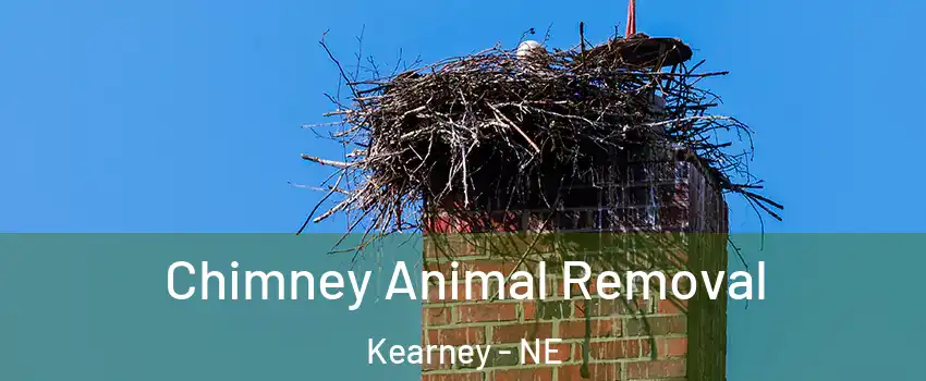 Chimney Animal Removal Kearney - NE