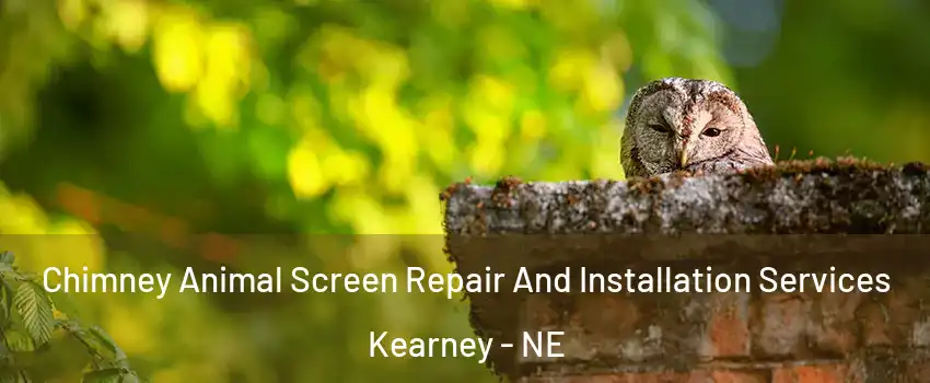  Chimney Animal Screen Repair And Installation Services Kearney - NE