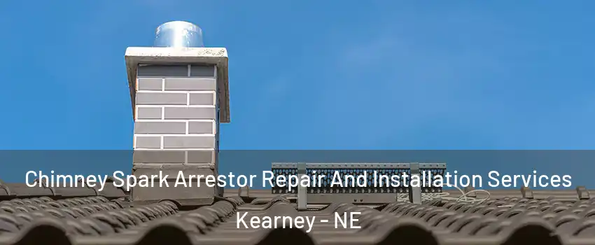  Chimney Spark Arrestor Repair And Installation Services Kearney - NE