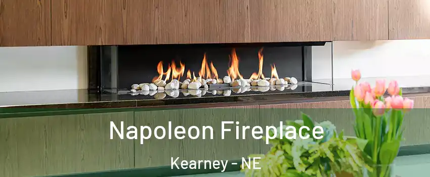  Napoleon Fireplace Kearney - NE